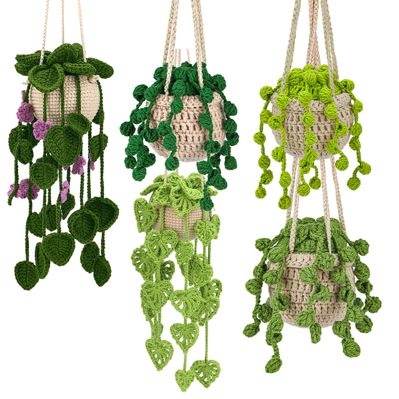 Kit de Plantes Suspendues Crochet