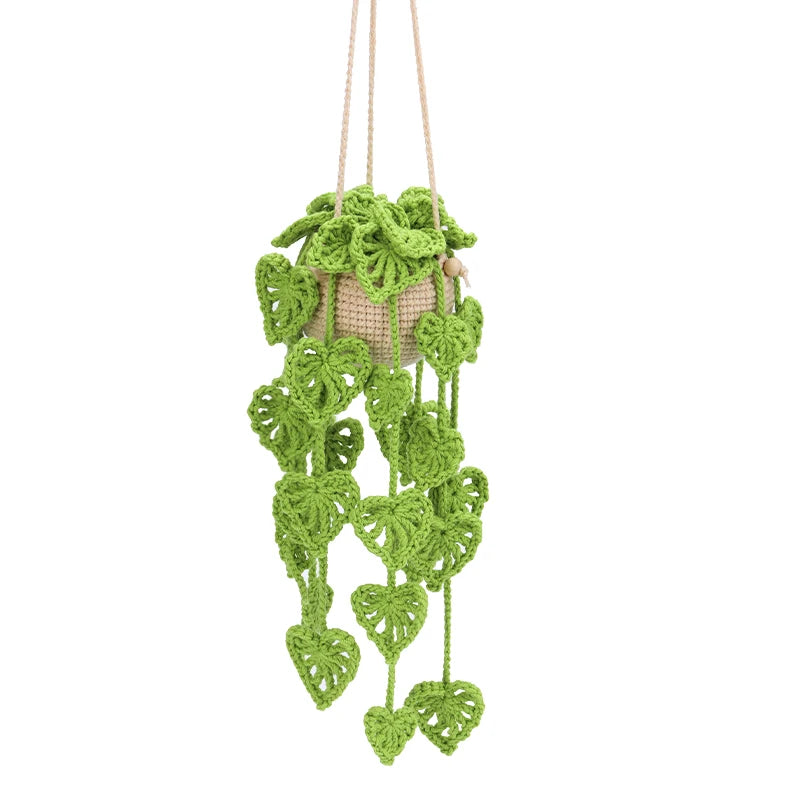 Kit de Plantes Suspendues Crochet