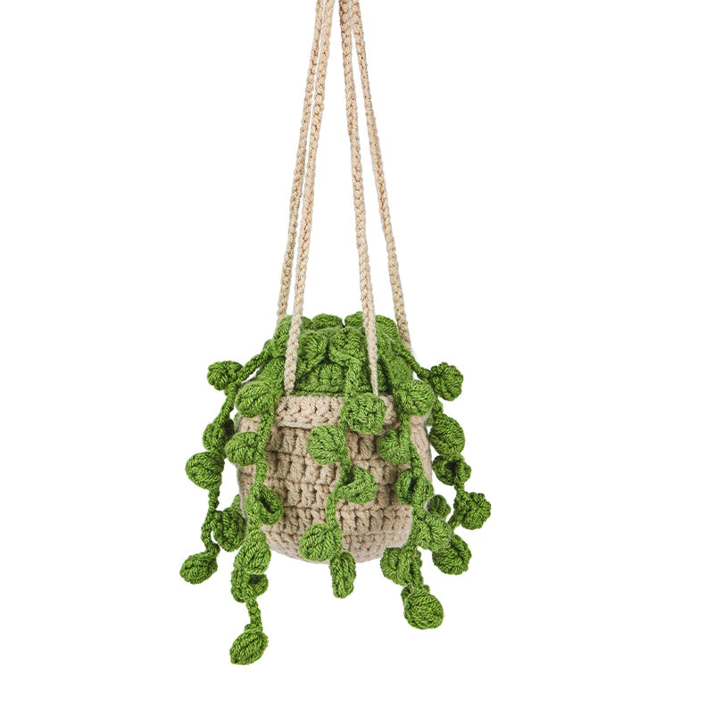 Kit de Plantes Suspendues Crochet