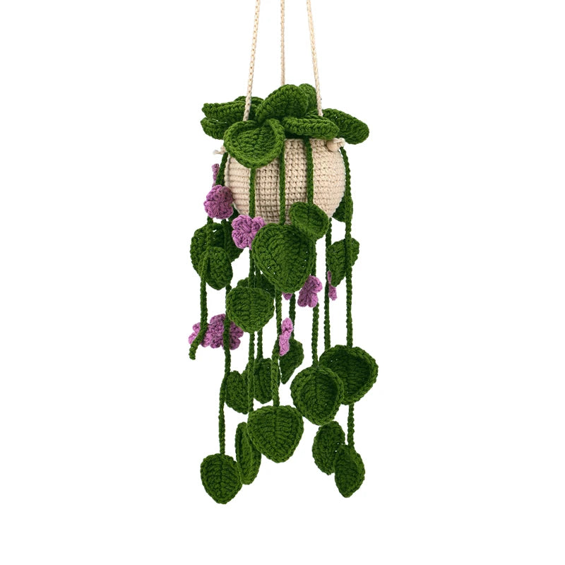 Kit de Plantes Suspendues Crochet