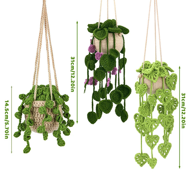 Kit de Plantes Suspendues Crochet