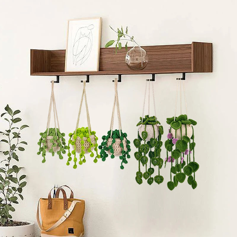 Kit de Plantes Suspendues Crochet